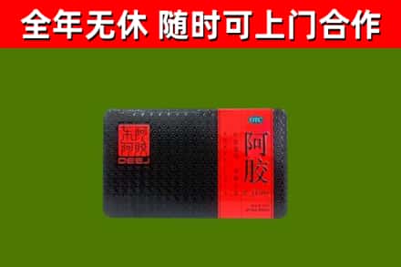 马村区回收阿胶